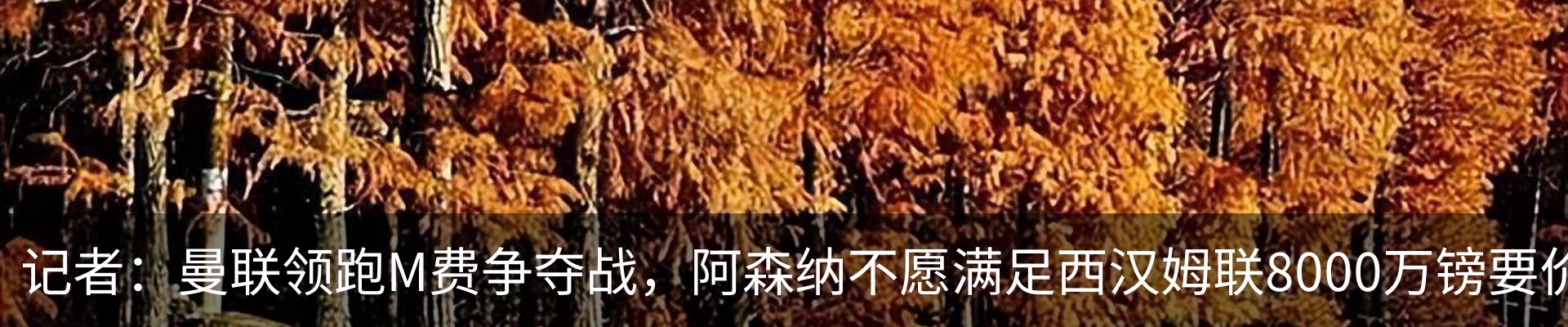 行业资讯